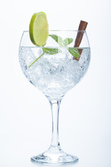 lemon and cinnamon gin tonic isolated over white