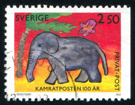 Fototapeta Elephant