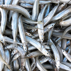 Fototapeta na wymiar Southeast Asia - fish market