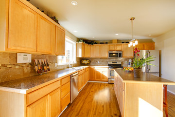 Comfortable big kitchen room