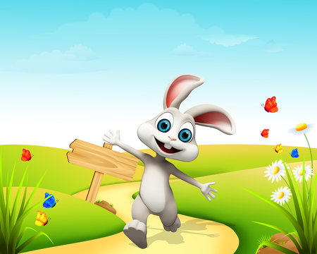 Bunny is running