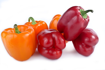 Capsicum annuum cultivars