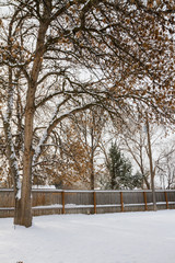 Fototapeta premium Snowy back yard