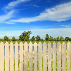 Obraz premium White fences