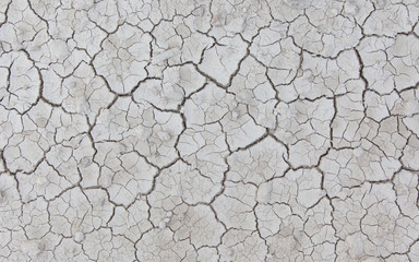 White cracked ground