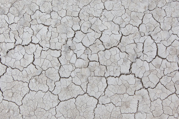 White cracked ground