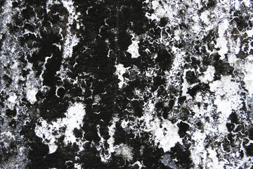 nature black wall color