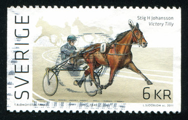 Trotting