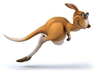 Kangaroo