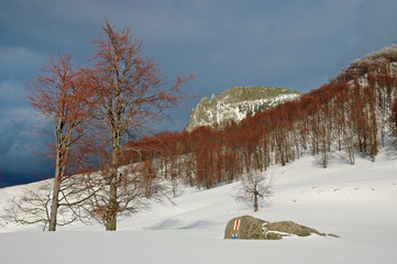 Snow covered mountain