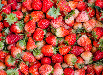 Fresh natural juicy strawberries to background on the street mar