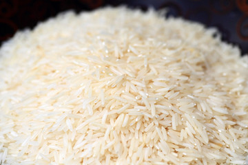 Oryza sativa thailand rice 