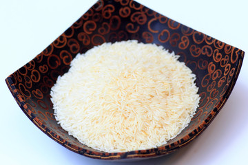 Oryza sativa thailand rice 