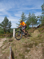 Mountain biker riding trails in Wales