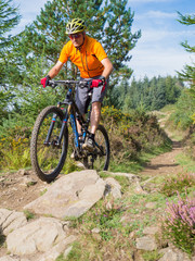 Obraz premium Mountain biker riding trails in Wales