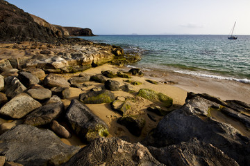 coastline rock beach  waand summer in lanzarote spain