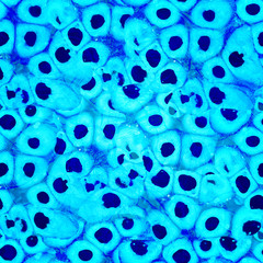 Watercolor seamless pattern. Vector, eps 10