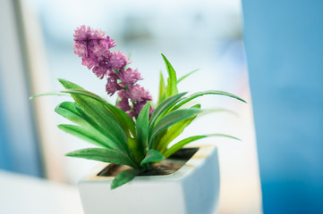 Mini flowers