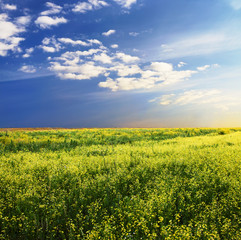 Obraz premium sky and fields
