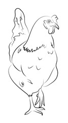 Hen Simplified Contour Silhouette