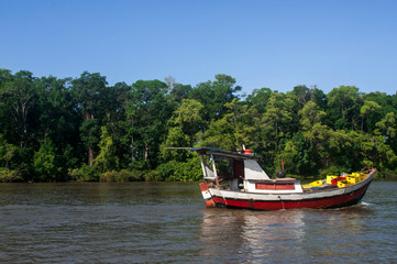Boot auf dem Amazonas Regenwald