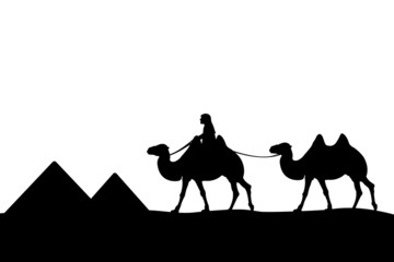 Man on the camel of the pyramids.