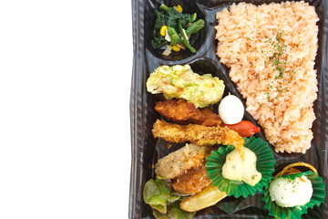 Contemporary Japanese ready-made lunchbox  bento box