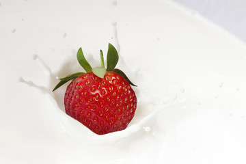 strawberry  falling into milk, yoghurt or cream. Splash isolated on white background, splash effect. health food concept, High speed sync