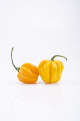 Scharfe Paprika