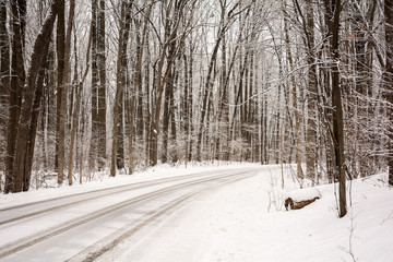 Winter Road