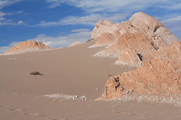 Atacama desert - obrazy, fototapety, plakaty