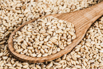 Wheat Berries
