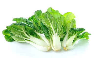 Pok Choi  vegetable isolated on white background