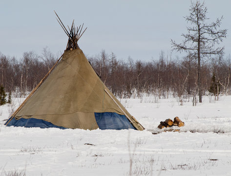 khant's wigwam standing at yamal forest tundra