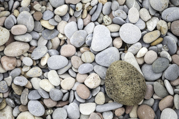 pebbled texture