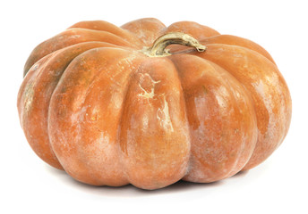 Pumpkin isolated on white