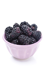 bowl of fresh blackberries isolated
