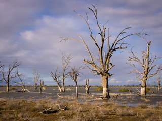 Lake Woolpolool, Calperum, South Australia