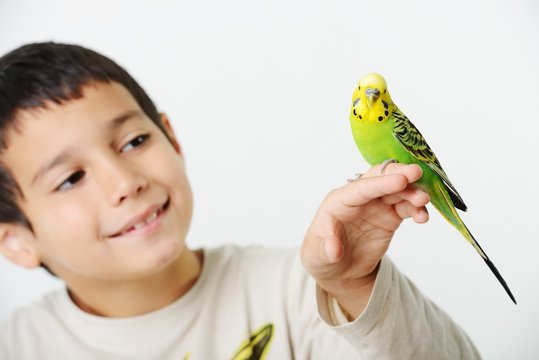 Portrait of a kid girl with her domestic parrot