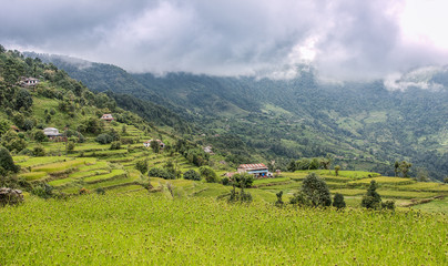 Obraz premium Landscape view of rice terraces in Kathmandu Valley, Nepal