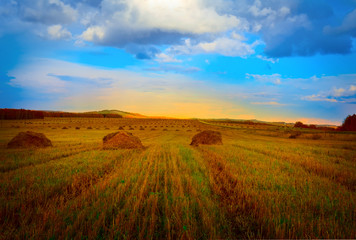 Autumn field with the harvested hay