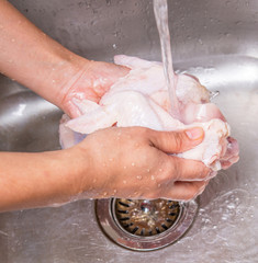 Fototapeta premium Female hands washing and cleaning chicken wings
