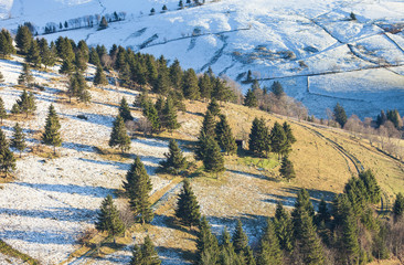 winter landscape in black forest