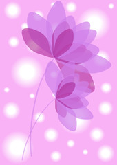 romantic violet flowers isolated on lighting pink background