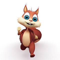 Squirrel with running