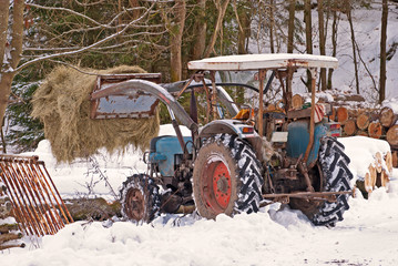 Obraz premium Landleben im Schnee