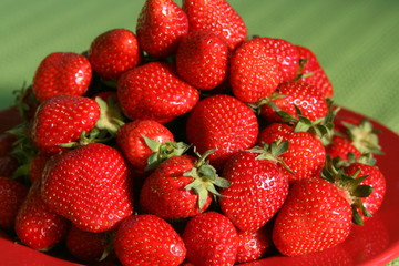 Erdbeeren