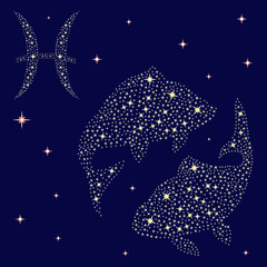Fototapeta na wymiar Zodiac sign Pisces on the starry sky