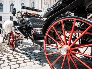 Wandcirkels tuinposter Traditional Fiaker carriage at Hofburg in Vienna, Austria © JFL Photography