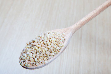 dried barley on a wooden spoon